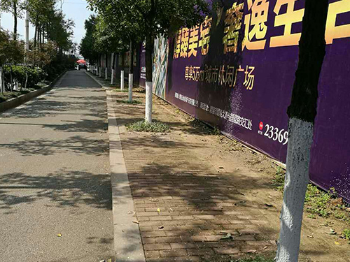醴陵市城區(qū)樹(shù)桿刷白1