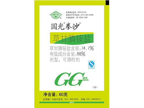 國(guó)光拳沙60g