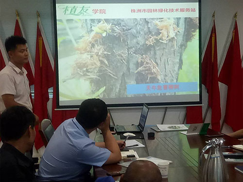 湖南建工匯博物業(yè)綠化養(yǎng)護(hù)技術(shù)交流會(huì)