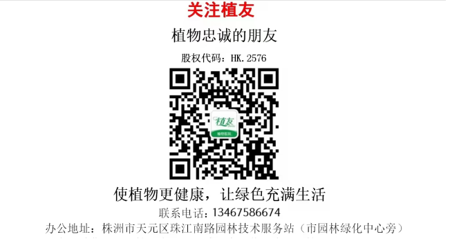 株洲植友職業(yè)培訓(xùn)學(xué)校有限公司_株洲園林綠化養(yǎng)護|株洲綠化管理|病蟲害防治哪里的好|株洲園林綠化工程公司|白蟻防治病蟲害治理
