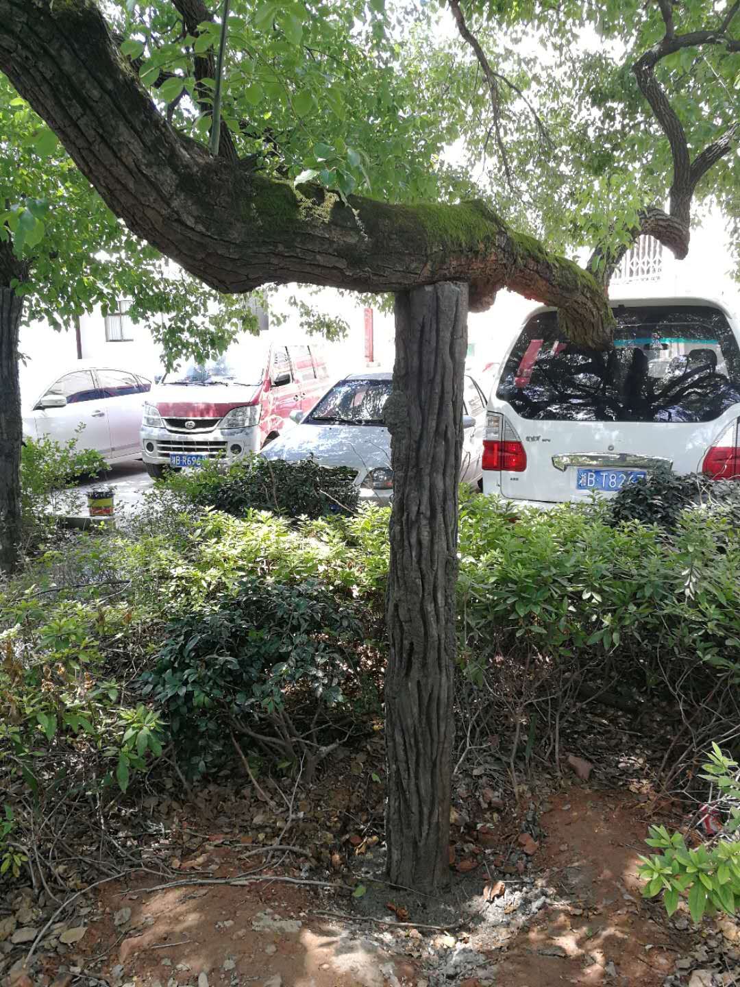 株洲植友職業(yè)培訓(xùn)學(xué)校有限公司_株洲園林綠化養(yǎng)護(hù)|株洲綠化管理|病蟲(chóng)害防治哪里的好|株洲園林綠化工程公司|白蟻防治病蟲(chóng)害治理